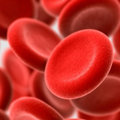 BLOOD: Our Fluid Link to Vitality, Emotions and Memory's photo
